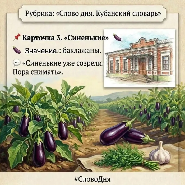 3.